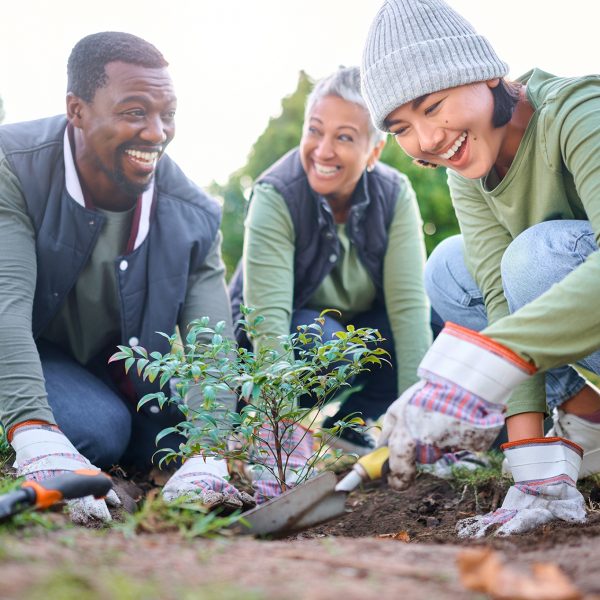 Gardening, community service and people volunteering in park, garden and nature for sustainability. Climate change, happy team and tree plants in sand for earth day project, growth and green ecology