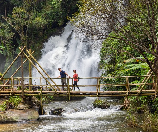 Couple,Seniors,Are,Walking,On,Tropical,Forest,Trail,In,The Couple seniors are walking on tropical forest trail in the outdoor recreation activities.